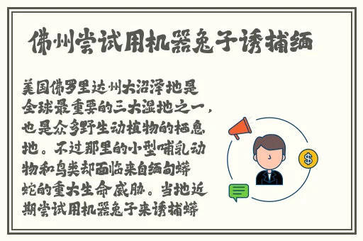九九re热国产精品视频